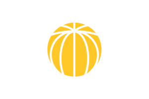 大橘湾城旗帜.png