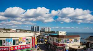 嘉滨那鲁街景.png