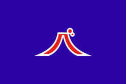别支道道旗.png
