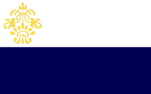 斯坦福利市旗.png