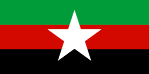 纳伽拉国旗.png