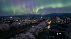 丰山市.png
